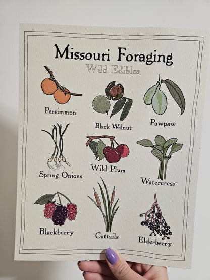 Missouri Foraging - Wild Edibles