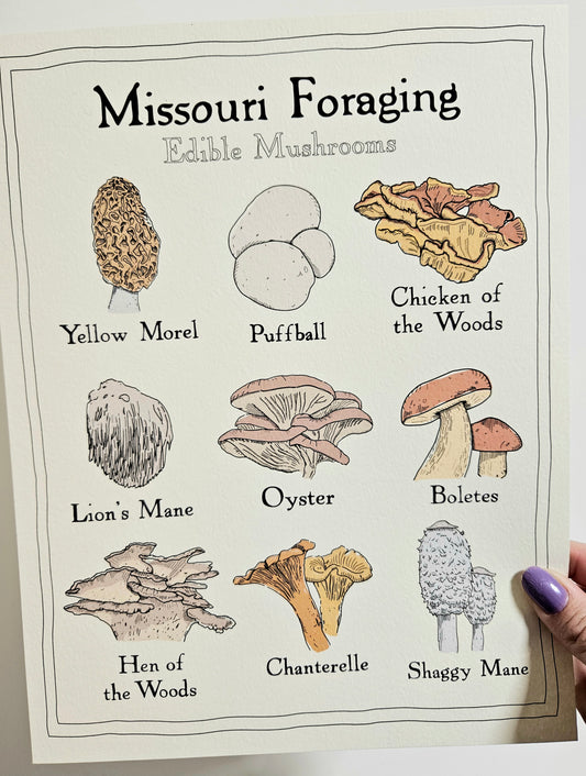 Missouri Foraging - Edible Mushrooms