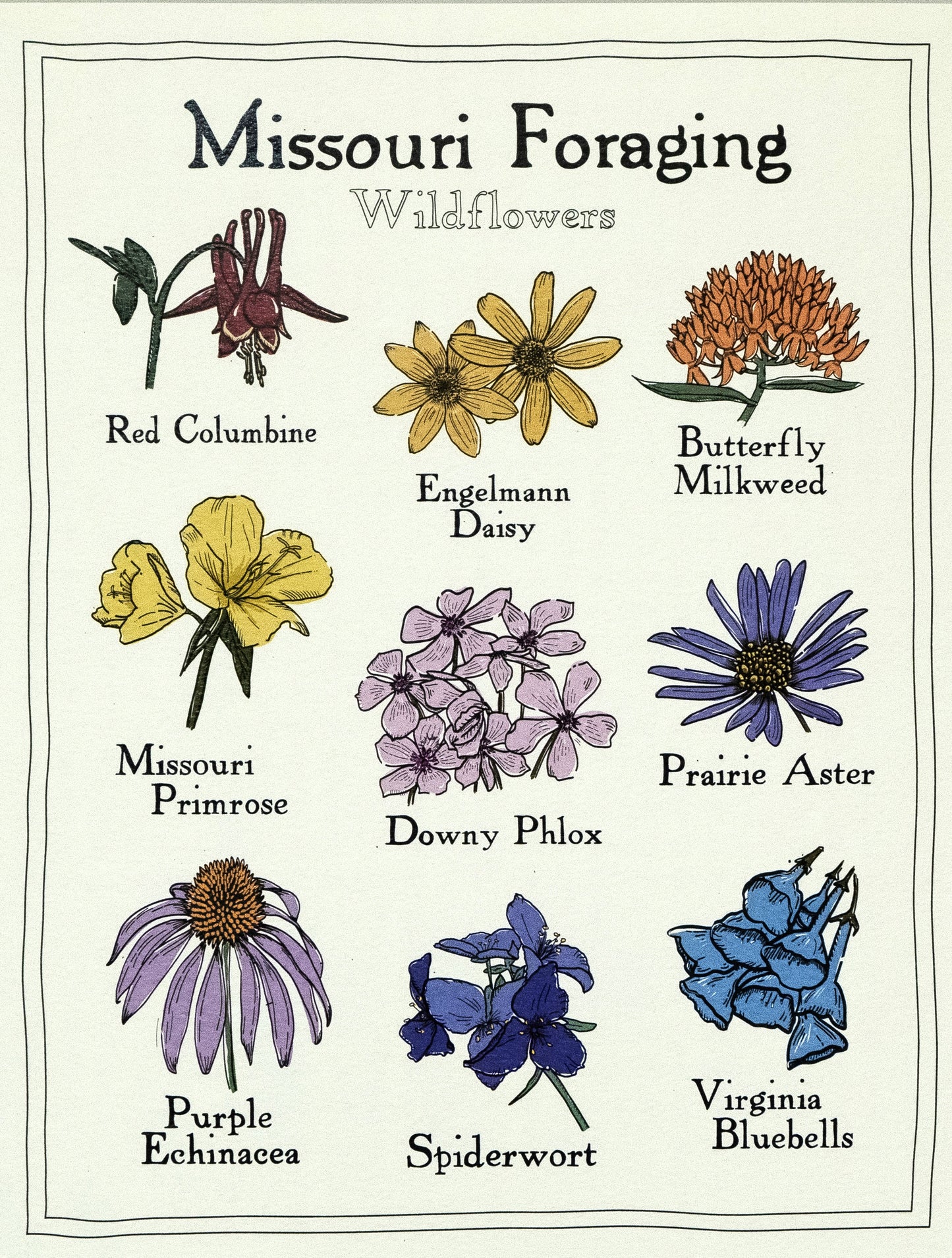 Missouri Foraging - Wildflowers